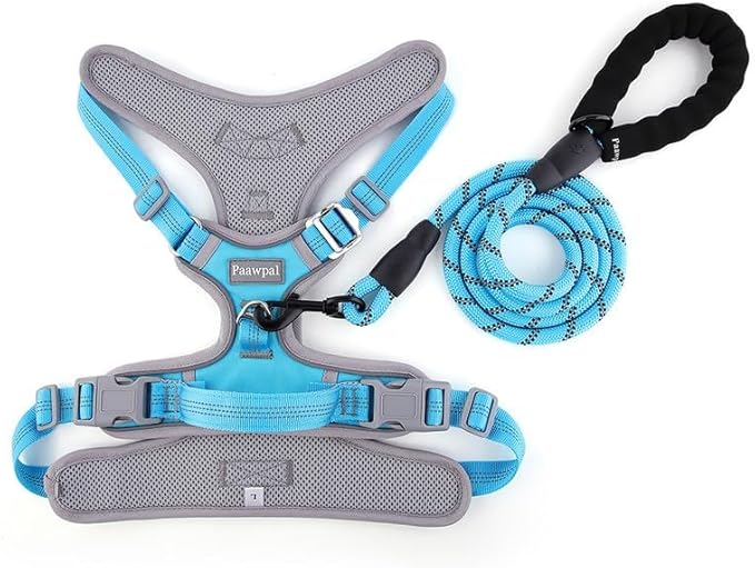 Adjustable Dog Harness - No Pull, Reflective, Soft Padded for Small, Medium, Large Dogs - Includes Leash Turquoise M