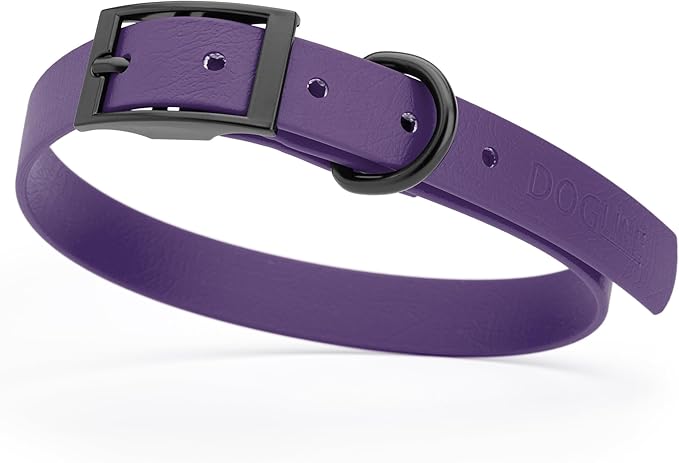 Dogline Biothane Coated Webbing Dog Collar with Black Metal Hardware: Durable Easy-Clean Everyday Collar for Dogs - Comfortable Adjustable Odor-Resistant Pet Collar, W3/4" x L15-18, Violet Purple