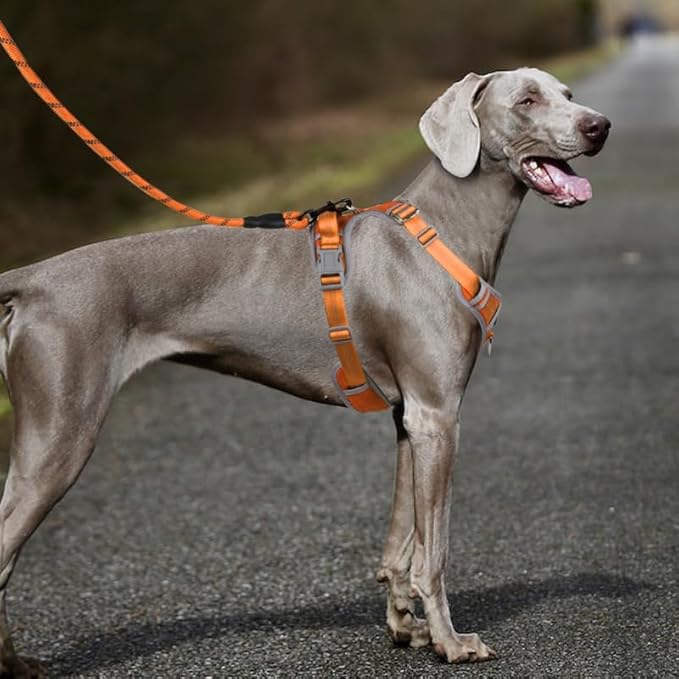 Adjustable Dog Harness - No Pull, Reflective, Soft Padded for Small, Medium, Large Dogs - Includes Leash Orange XL