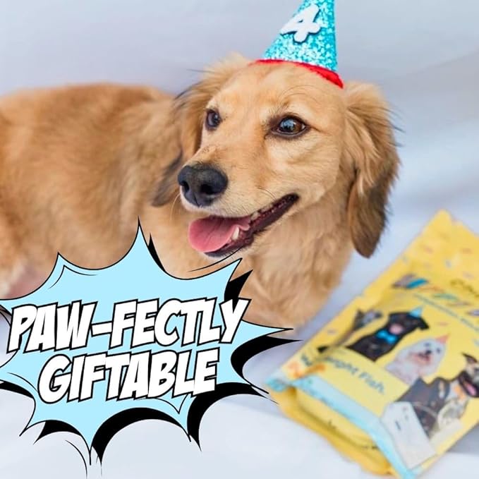 Dog Birthday Treat, Pumpkin Dog Treats, for Dogs, No Chicken, Grain-Free, Hypoallergenic, Made in USA, Sustainably Wild-Caught Fish, 4-Pack