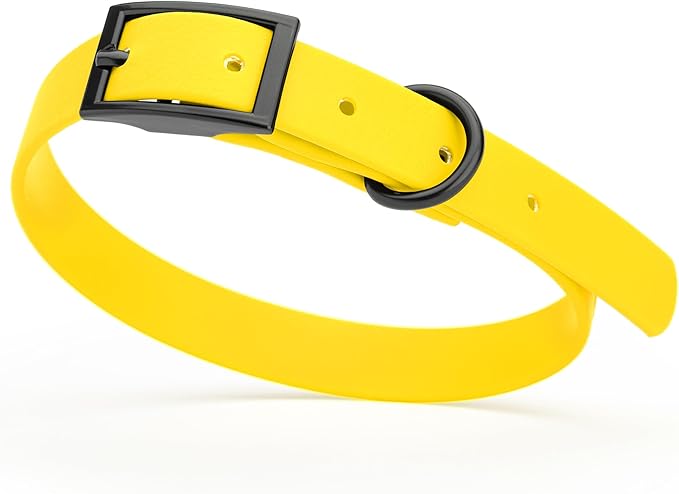 Dogline Biothane Coated Webbing Dog Collar with Black Metal Hardware: Durable Easy-Clean Everyday Collar for Dogs - Comfortable Adjustable Odor-Resistant Pet Collar, W5/8" x L12-15, Lemon Yellow