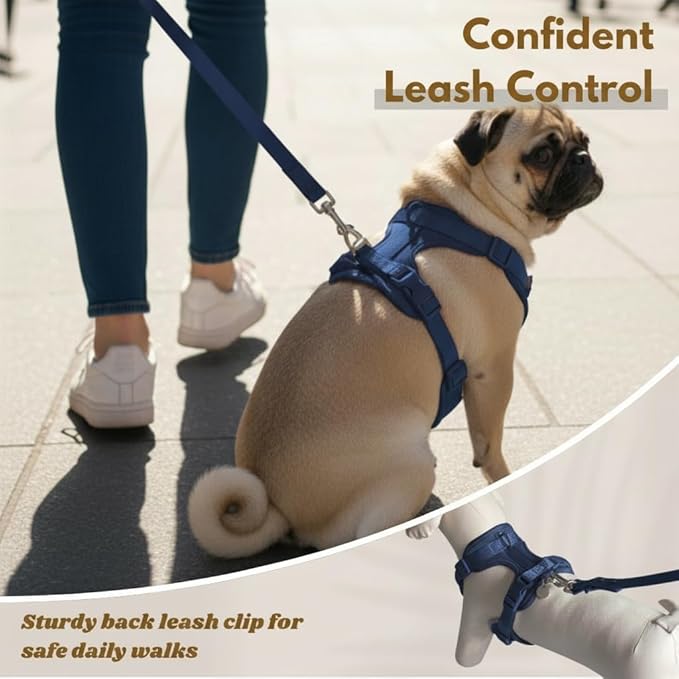Dog Harness, No-Pull Pet Harness with 3 Leash Clips, Adjustable Soft Padded Dog Vest, Breathable Mesh Cushion for Small Medium Large Dogs (Blue, Medium (Neck:15"-19" Chest 22"-30"))