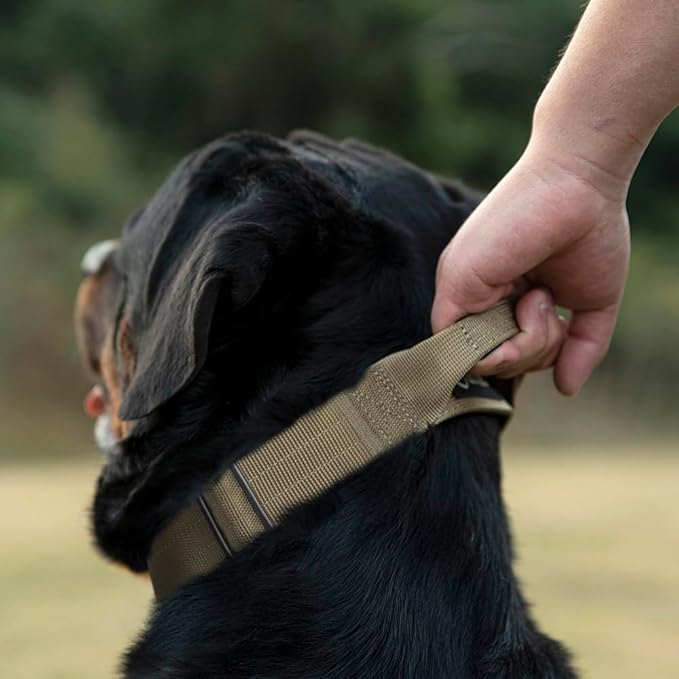 TSPRO Premium Dog Collars Tactical Dog Collar with Handle and Heavy Duty Quick-Release Metal Buckle Durable Thick and Adjustable for Medium to Large Dogs (Geometric Style L)