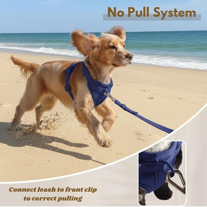 Dog Harness, No-Pull Pet Harness with 3 Leash Clips, Adjustable Soft Padded Dog Vest, Breathable Mesh Cushion for Small Medium Large Dogs (Blue, Medium (Neck:15"-19" Chest 22"-30"))