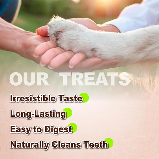 AFreschi Turkey Tendons for Dogs, USA-Sourced, Healthy Dog Treats, Rawhide-Free Puppy Chews, Long Lasting, All Natural, Hypoallergenic Dog Treats for Small Breeds, 6 Count Pack Ring (S)
