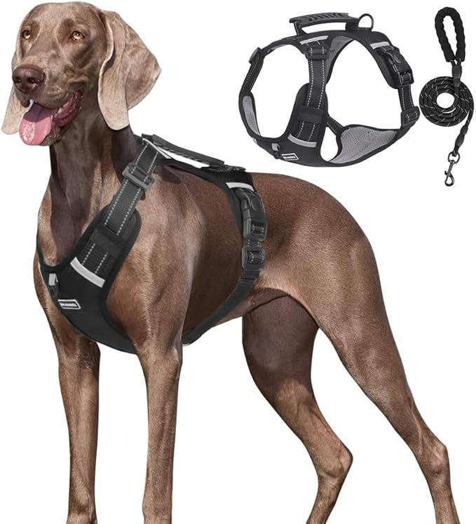Dog Harness No Pull Adjustable Reflective,for Medium and Large Small Dog with Leash 59.06in (Black, S)