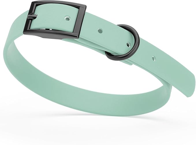 Dogline Biothane Coated Webbing Dog Collar with Black Metal Hardware: Durable Easy-Clean Everyday Collar for Dogs - Comfortable Adjustable Odor-Resistant Pet Collar, W5/8" x L12-15, Sage Green