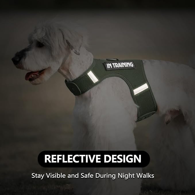 Dog Harness for Puppy – Adjustable Reflective Easy Put On Soft Mesh Vest for Small Dogs with 2 Patches (Misty Green,XS)