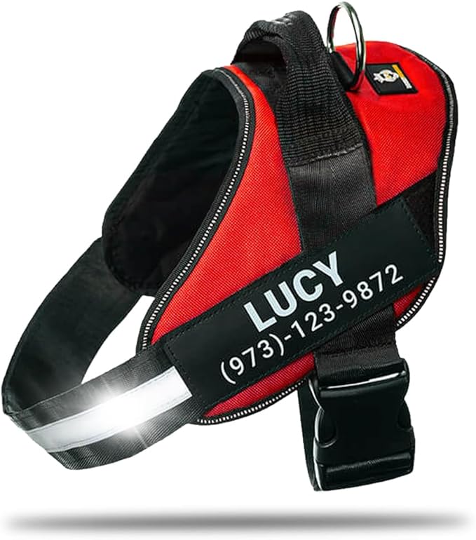 Personalized No-Pull Dog Harness with Name Patch, Adjustable, Reflective, Padded, Heavy Duty Pet Vest to Prevent Tugging, Pulling, or Choking, Training and Walking, Red, L
