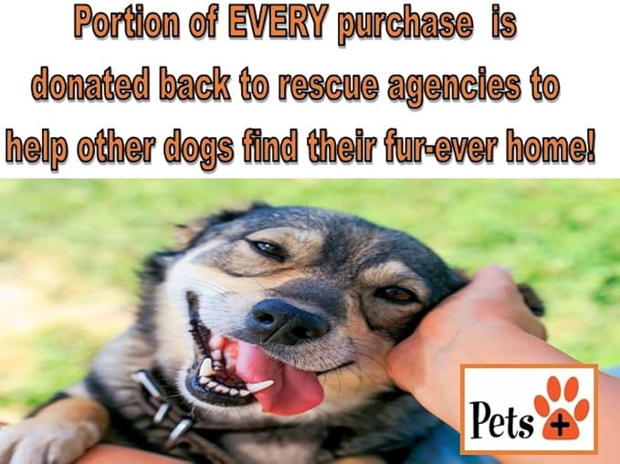 Pets Plus Premium Dog Treats – Beef Jerky Springs, 3 Pack | All-Natural, High-Protein Chews for Dogs, Long-Lasting Treats for Training, Rewards & Dental Health