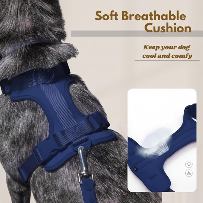 Dog Harness, No-Pull Pet Harness with 3 Leash Clips, Adjustable Soft Padded Dog Vest, Breathable Mesh Cushion for Small Medium Large Dogs (Blue, Small (Neck:12"-16" Chest 16"-20"))