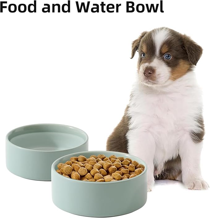 Havniva Ceramic Set of 2 Dog Bowls, Food and Water Bowls for Dogs, Puppy, 2pcs Dog Dishes, Pet Feeder(6inch, 2 x Light Green Bowls)