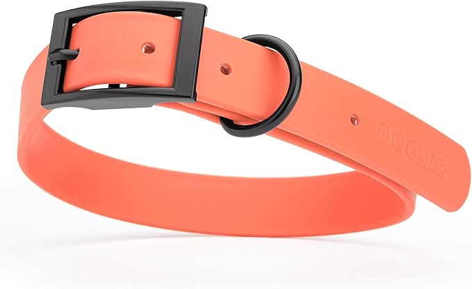 Dogline Biothane Coated Webbing Dog Collar with Black Metal Hardware: Durable Easy-Clean Everyday Collar for Dogs - Comfortable Adjustable Odor-Resistant Pet Collar, W1 x L18-22, Coral