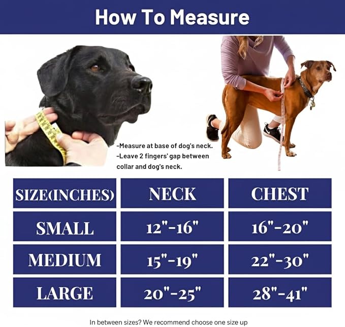 Dog Harness, No-Pull Pet Harness with 3 Leash Clips, Adjustable Soft Padded Dog Vest, Breathable Mesh Cushion for Small Medium Large Dogs (Blue, Medium (Neck:15"-19" Chest 22"-30"))