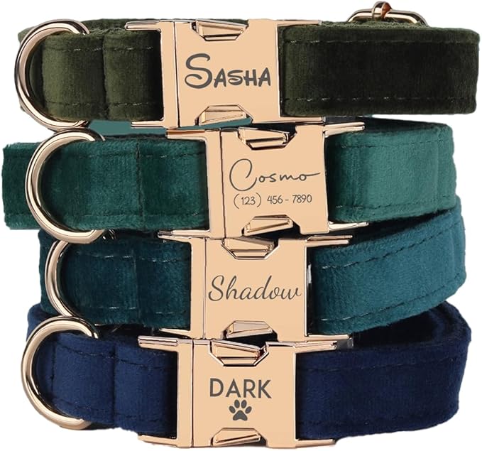 Velvet Harness Set, Gift for Pet Owners, Custom Dog Collar Personalized with Name and Phone Number, Custom Collar and Leash for Dogs, Engraved Metal Buckle Collar(Medium)