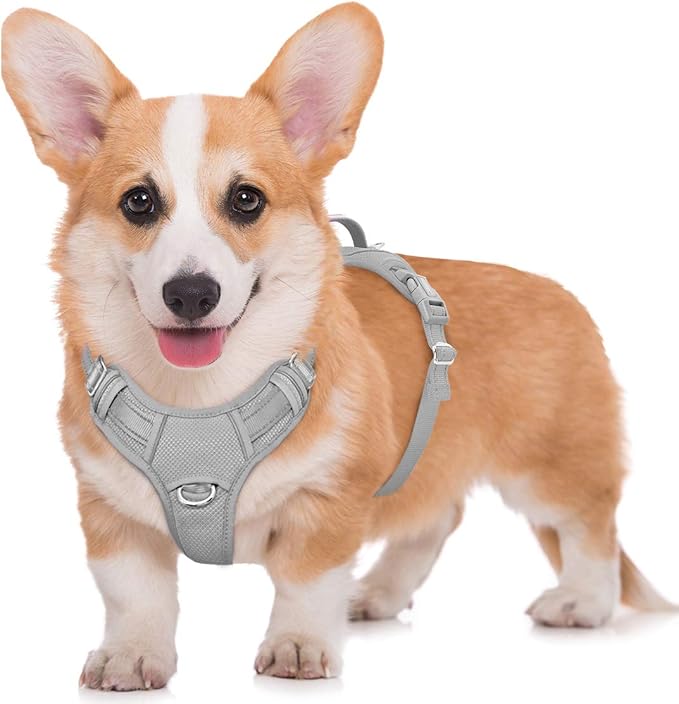 BARKBAY No Pull Dog Harness Large Reflective Dog Harness with Front Clip and Easy Control Handle for Walking Training Running with ID tag Pocket(Grey,M)