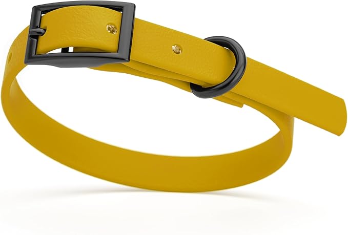 Dogline Biothane Coated Webbing Dog Collar with Black Metal Hardware: Durable Easy-Clean Everyday Collar for Dogs - Comfortable Adjustable Odor-Resistant Pet Collar, W1/2" x L9-12, Treasure Gold
