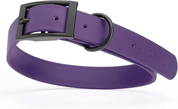 Dogline Biothane Coated Webbing Dog Collar with Black Metal Hardware: Durable Easy-Clean Everyday Collar for Dogs - Comfortable Adjustable Odor-Resistant Pet Collar, W1 x L22-25", Violet Purple