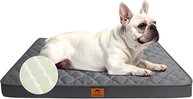 Orthopedic Dog Bed for Small and Medium Size Dogs - Egg Crate Foam Pet Bed with Waterproof & Machine Washable & Non-Slip Bottom, Ideal Dog Beds for Crate and Indoor Use, 30x20 Inch, Dark Grey