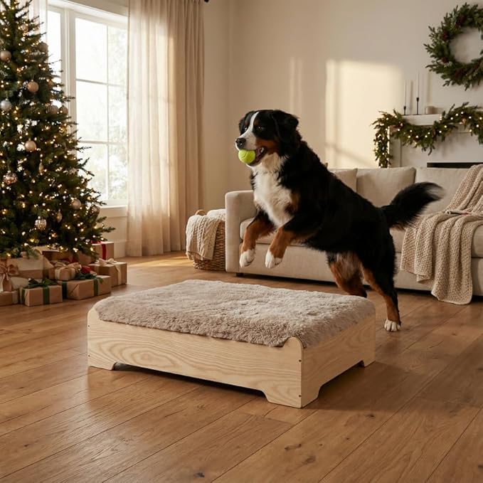GLOSSGODS Elevated Dog Bed Frame and Mattress with Washable Cover, Naturalwood XL Up to 90 lbs