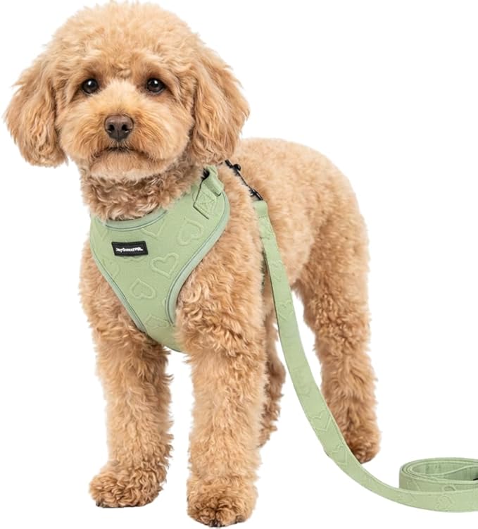 No Pull Puppy Harness and Leash Set – No Choke Neoprene Dog Harness for Extra Small Dogs (5–15lbs) – Green(XS), Lightweight Breathable Mesh with Unique Heart Pattern, Adjustable Fit