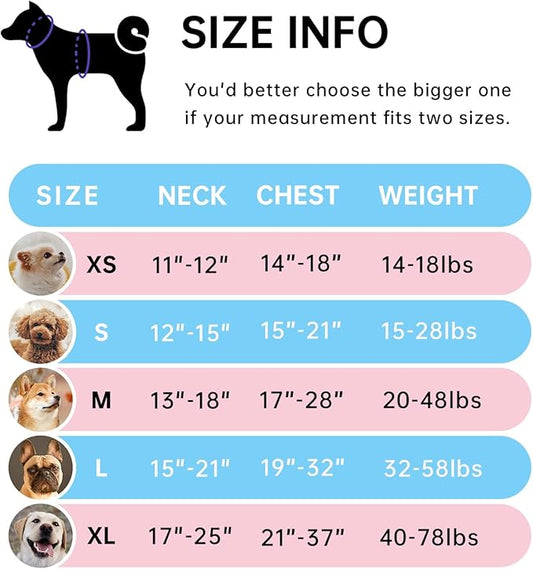 IVY&LANE No Pull Dog Harness for Small Dogs, Dog Vest Harness with Leash, Safety Belt and Storage Strap, Fully Adjustable, 360 Reflective Strip, Soft Handle (Pink, S)