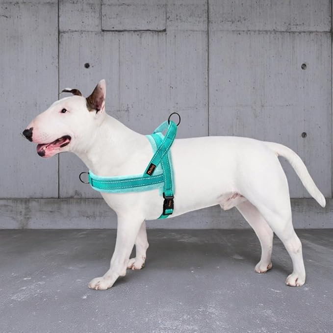 Didog Soft Flannel Padded Dog Vest Harness,Escape Proof/Quick Fit Reflective Dog Strap Harness, Easy for Training Walking(XS:Chest 15-18", Teal)