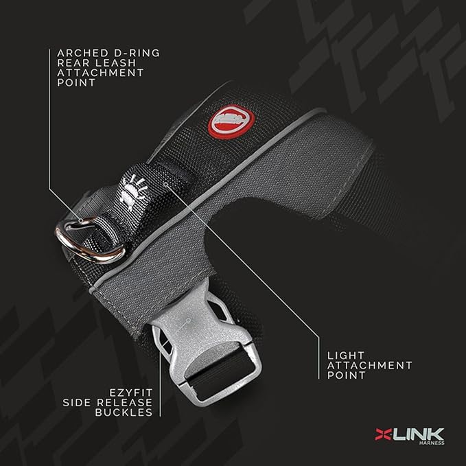 EzyDog X-Link Dog Harness – Reflective and Padded No Pull Dog Harness for Training and Everyday Walks with 2 Leash Attachment Points (Small, Purple)
