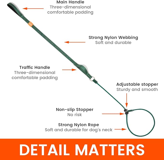 Howgo Dog Slip Lead Dog Leash, Training Lead, No-Pull Slip Leash and Collar, Heavy Duty & Durable Nylon, Padded Handle, for All Breeds (Orange, 5FT)