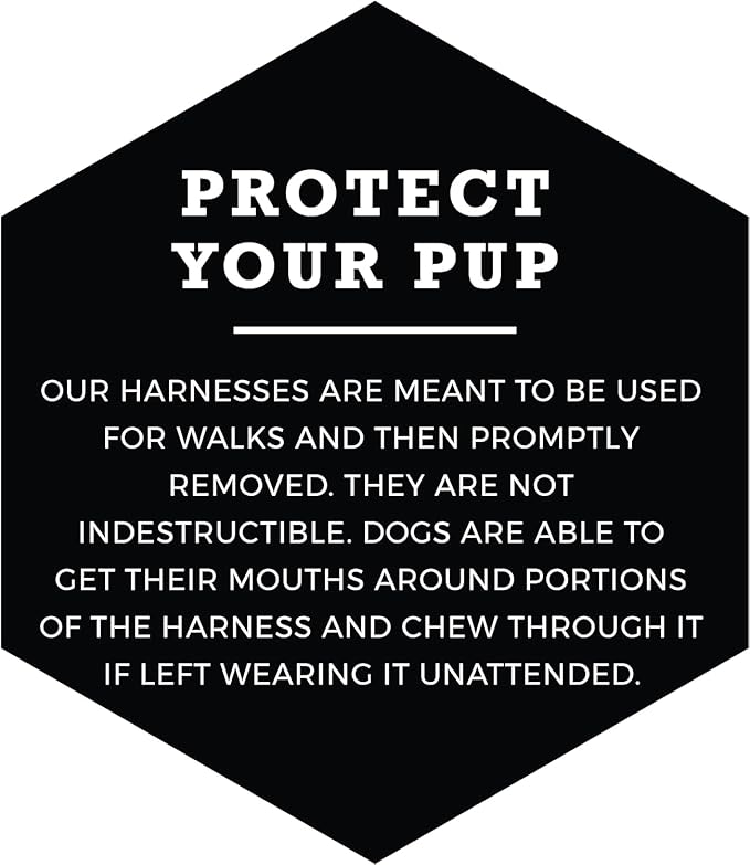 Wolfgang Heavy Duty Adjustable Dog Harness, Pull-Tested to Over 800 lbs for Walking & Training, SunsetPalms Print, Large