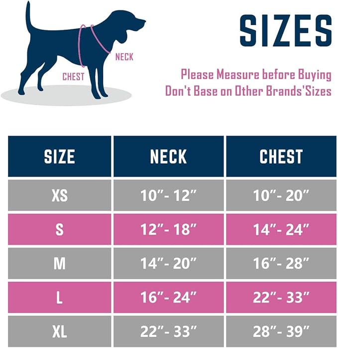 PHOEPET 2019 Upgraded No Pull Dog Harness,3M Reflective Adjustable Vest, with a Training Handle + 2 Metal Leash Hooks+ 3 Snap Buckles +4 Slide Buckles(M, Red)