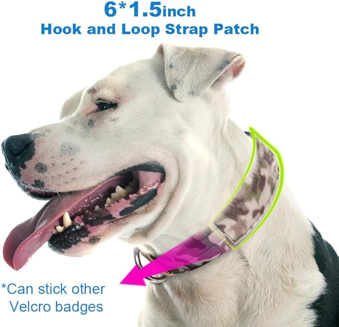 TSPRO Tactical Dog Collar, Adjustable, with Patch & Double Needle Metal Buckle, Heavy Duty for Medium to Large Dogs, Durable for Walking, Running, Hiking & Training (Military Green M+)