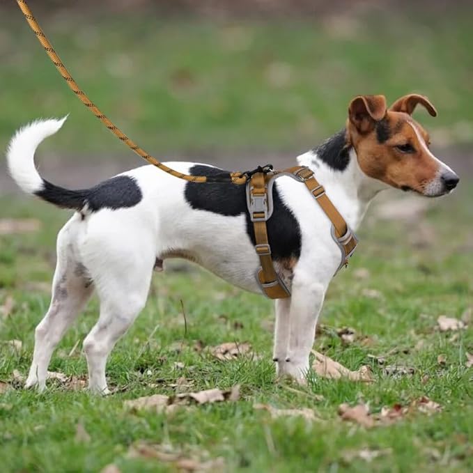 Adjustable Dog Harness - No Pull, Reflective, Soft Padded for Small, Medium, Large Dogs - Includes Leash Beige M