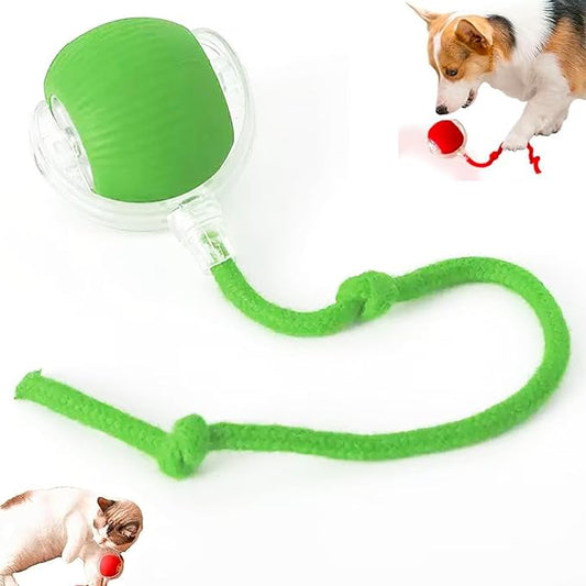 Zarutor Interactive Rolling Ball, 360° Smart Automatic Rolling Electric Dog Ball, Chase Mate Cat Toy, Durable and Safe, Fast Rolling Toy for Dogs and Cats (Green)