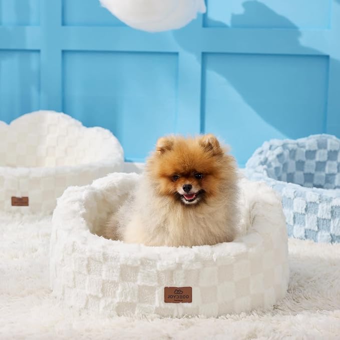 Joydeco Dog Bed for Small Dogs & Cats, Washable Cloud Pet Bed with Orthopedic Foam and Removable Checkered Plush Pad, Non-Slip Bottom for Indoor Puppies and Kittens, 22x20 Inch, White