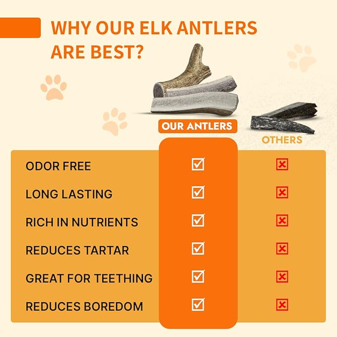 Tibetan Elk Antler for Dogs, Grade-A, 6", Pack of 1 (Whole)