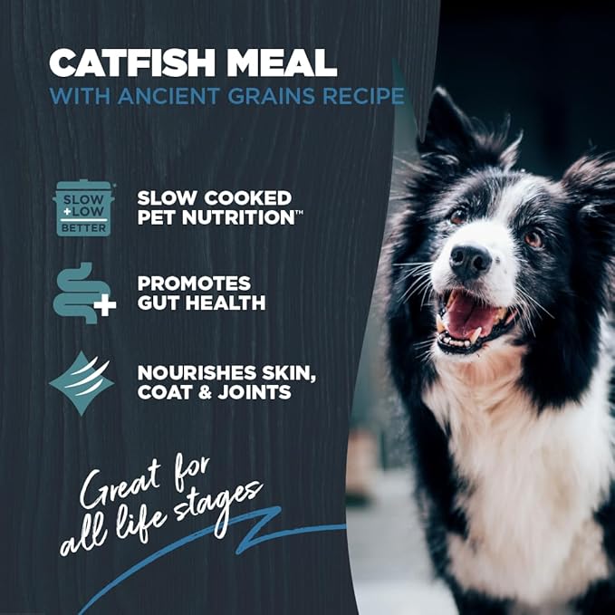 Blackwood Sensitive Skin & Stomach Dry Dog Food, Catfish Meal & Brown Rice with Ancient Grains, 4.5 Pound Bag with Prebiotics & Probiotics to Promote Gut Health