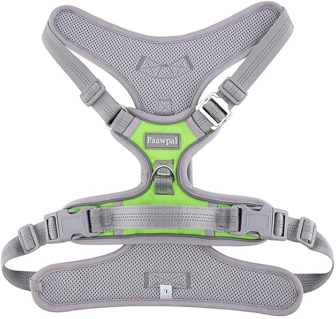 Adjustable Dog Harness - No Pull, Reflective, Soft Padded for Small, Medium, Large Dogs - Includes Leash Green XL