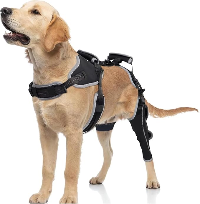Dog Knee Brace for ACL/CCL Injuries,Torn Ligament,Pain Relief,Joint Warmth,Luxating Patella - Rear Leg Support,Black,Upgraded,Left Legs,(Size:XL)