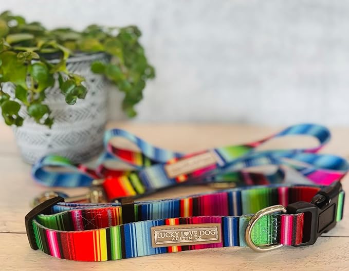 Lucky Love Dog - Adjustable Dog Collar with Easy Click Buckle for Small to Large Dogs, Durable, & Comfortable for Male & Female Dogs, Pet Collar for Puppies & Adult Ones - Nacho, XL