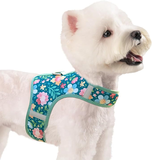 Dog Harness for Small Sized Dog,Hook-and-Loop Easy On/Off, Reflective Adjustable Soft Mesh Vest for Puppy (Green Floral Print,XXS)