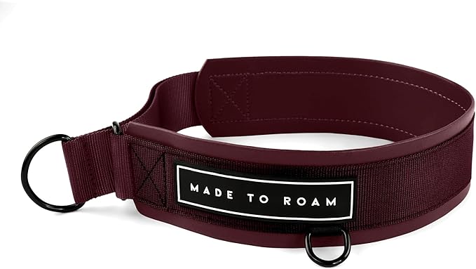 MADE TO ROAM Premium Everyday Dog Collar - Martingale Style No Pull Vegan Leather Collar, Heavy Duty and Lightweight for Small, Medium, Large Dogs (Vermont Weekends, Size 8)