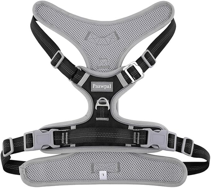 Adjustable Dog Harness - No Pull, Reflective, Soft Padded for Small, Medium, Large Dogs - Includes Leash and Collar Black L