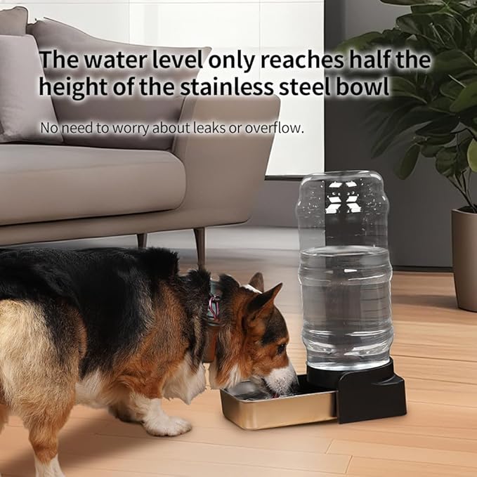 PAKEWAY 1.5 Gallon / 5.7L Automatic Gravity Dog Water Bowl Dispenser, Stainless Steel Large Capacity Pet Waterer with 3 Filters for Medium Dogs and Cats