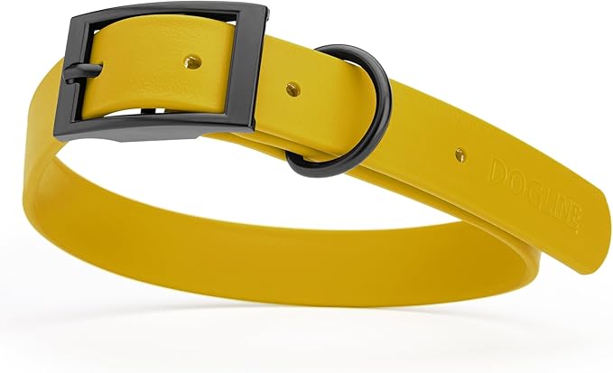 Dogline Biothane Coated Webbing Dog Collar with Black Metal Hardware: Durable Easy-Clean Everyday Collar for Dogs - Comfortable Adjustable Odor-Resistant Pet Collar, W1 x L18-22, Treasure Gold