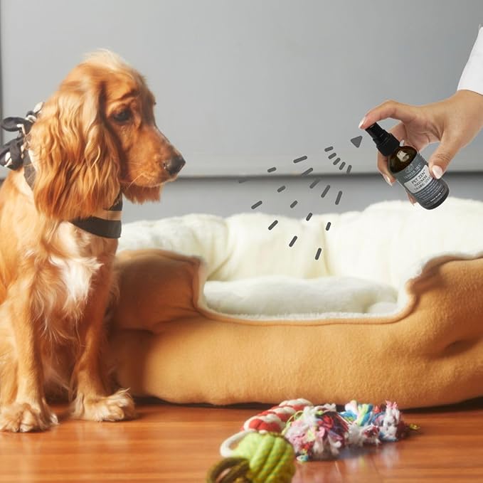 Pet Zen Pheromone Calming Spray for Dogs