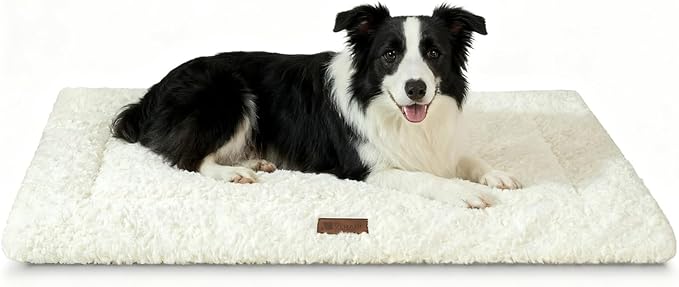 Fluffy Reversible Dog Bed Mat - Ultra Soft & Machine Washable Dog Crate Pad fit for Metal Kennel, Cozy Sleeping Mat, 41" x 27", Beige