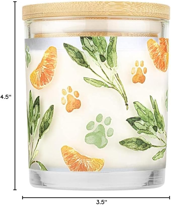 One Fur All Pet House Fall Candles, Long Lasting, Clean Burning, Soy Wax Scented Candles for Pet Odor, Mandarin Sage, 2 Pack