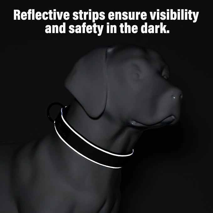 Plutus Pet Tactical Dog Collar, Reflective, Adjustable Heavy Duty Dog Collar, Soft Padded and Comfortable, for Small Medium and Large Dogs (Orange, L)