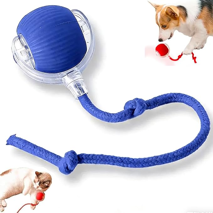 Zarutor Interactive Rolling Ball, 360° Smart Automatic Rolling Electric Dog Ball, Chase Mate Cat Toy, Durable and Safe, Fast Rolling Toy for Dogs and Cats (Blue)